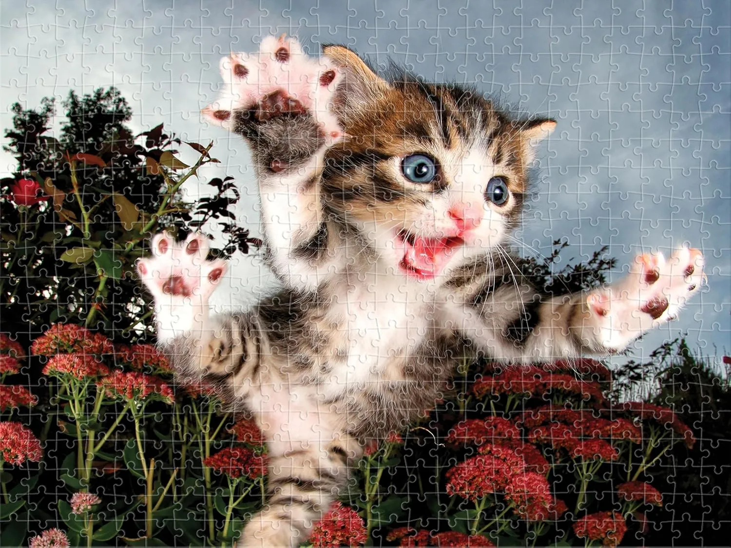 24" x 18" | Challenging & Fun for Adults$ Kids & Families | Immersive 3D Lenticular Effect | Seth Casteel | Pounce | 500 Piece 3D Jigsaw Puzzle dogged serrate translucent particle kennel carve for Adults & Kids | Finished Size 