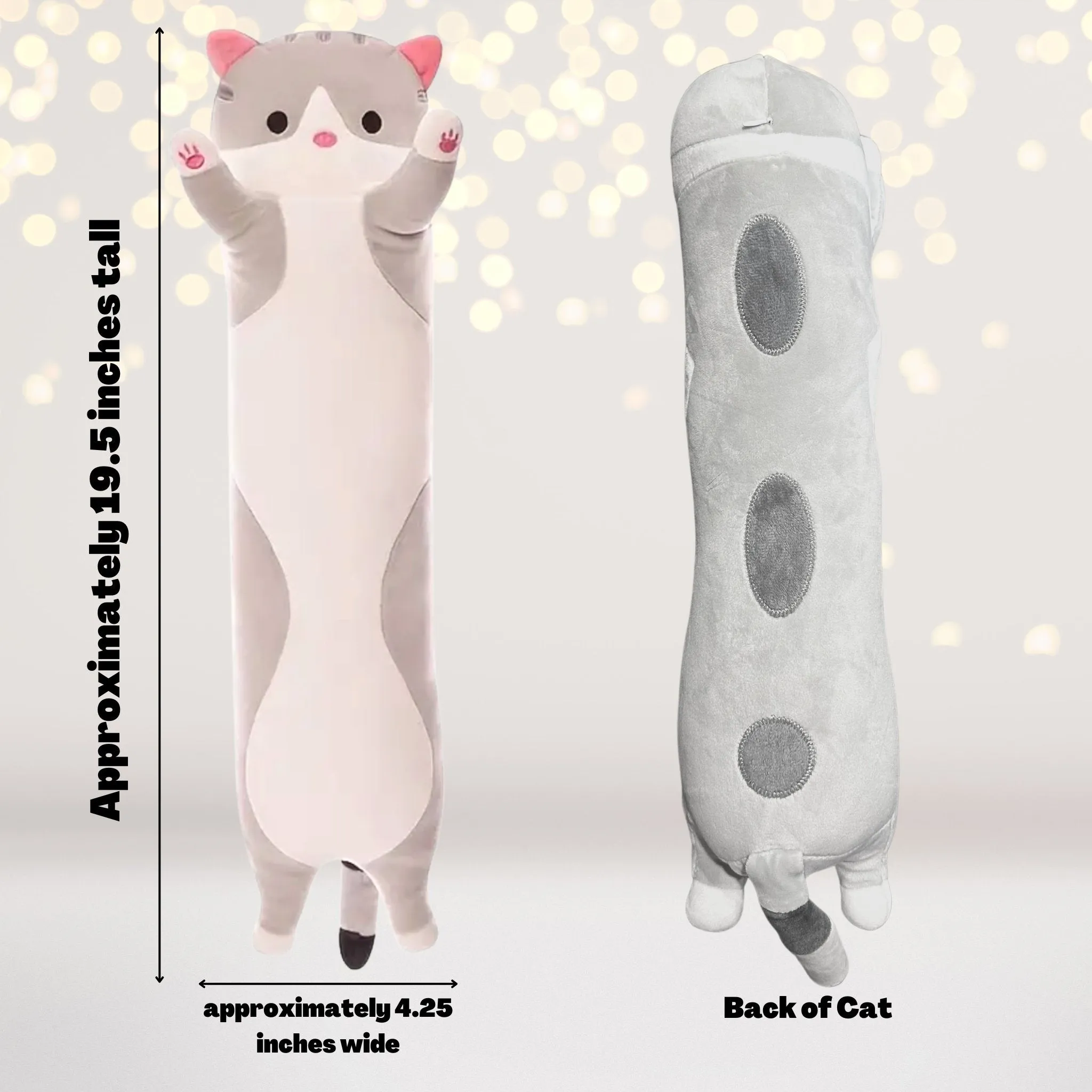 Cat Birthday Party Sleepover Party Supplies Box