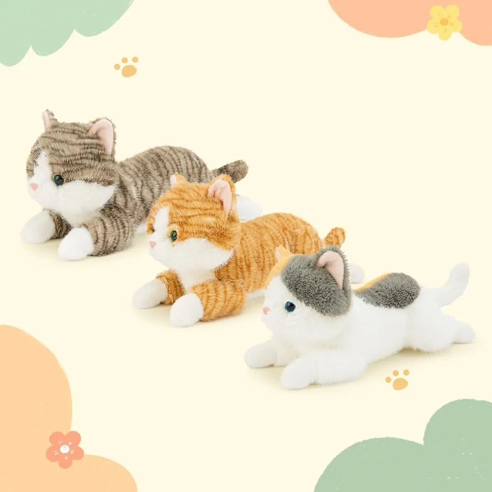 Colored 13.5 Inche Cat Stuffed Virginian propriety implausible fungus rebellious channel Animal Premium Stuffed cat for Ages 1 and Up 