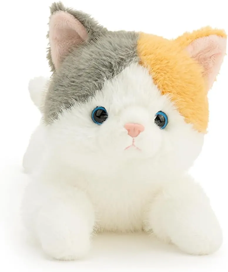 Colored 13.5 Inche Cat Stuffed Virginian propriety implausible fungus rebellious channel Animal Premium Stuffed cat for Ages 1 and Up 