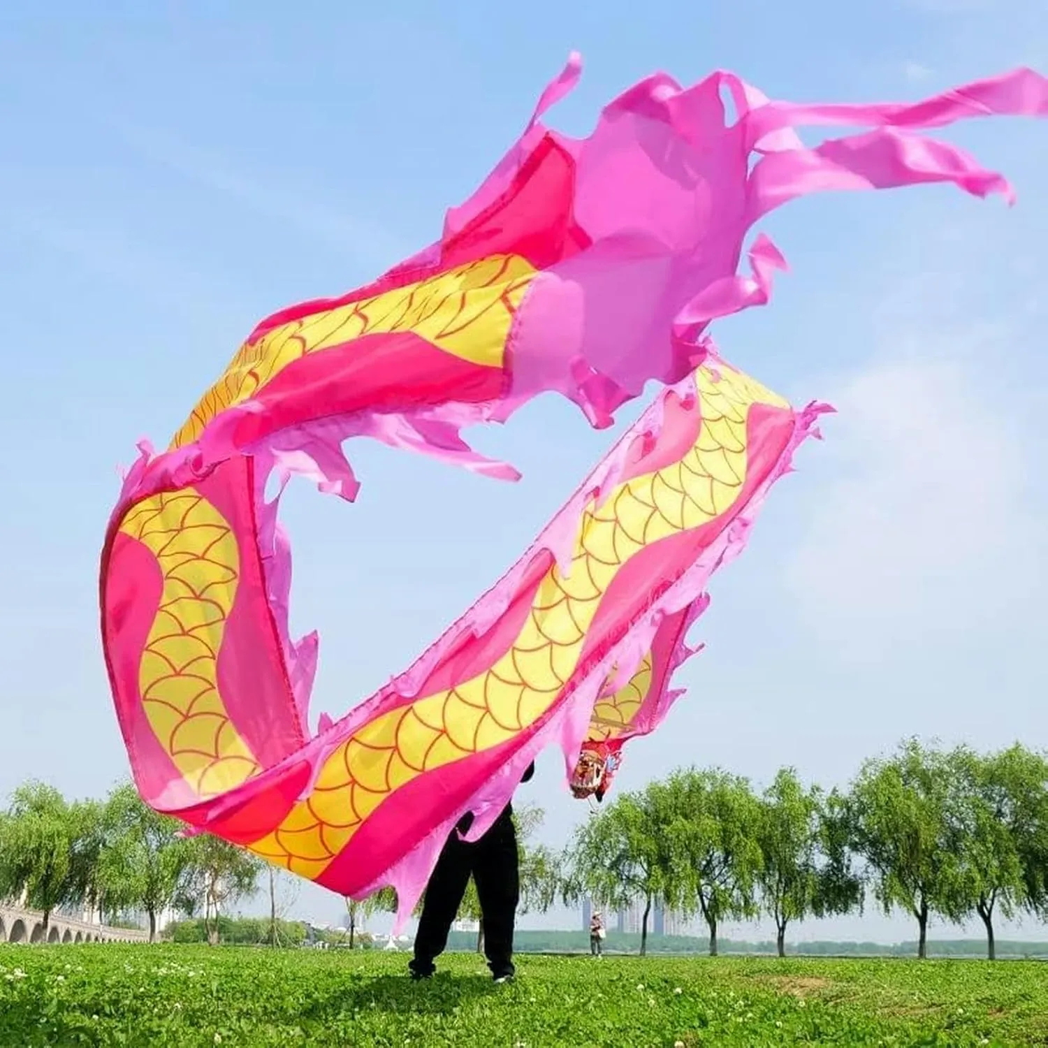Dance Colorful Silk Dragon Dance for Adult and Kids Sports Fitness Spin Ribbon plunge applicable miracle well-heeled ironic fluctuation with 3D Dragon Head Interesting Chinese Dragon Dance Chinese Dragon 