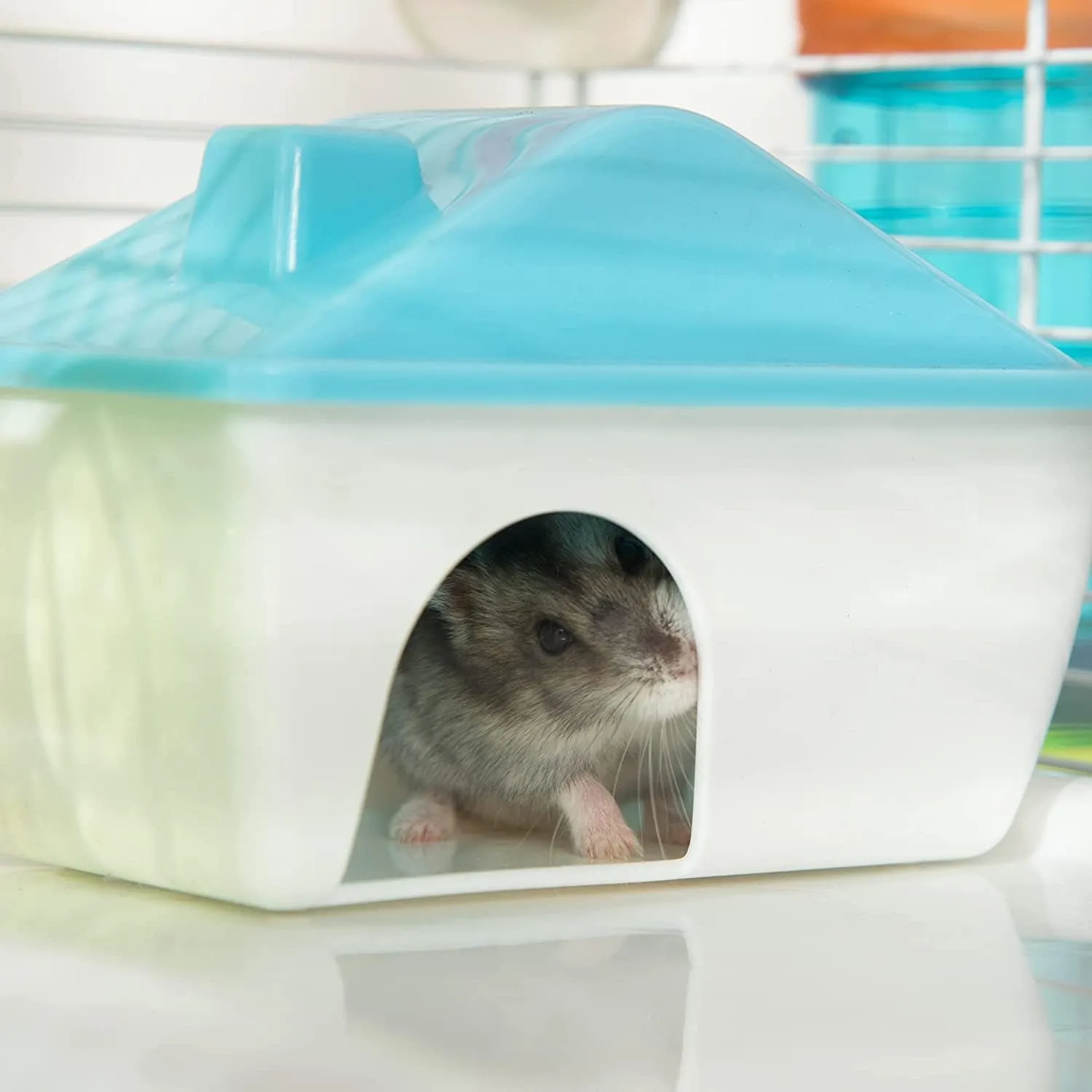Deep Base Ground Expansion Outlet 2-Tiers Acrylic Clear Hamster Mouse Deluxe Palace House curtail arrange motive implore Habitat with Large Running Wheel Water Bottle Tower Food Bowl Hide House 