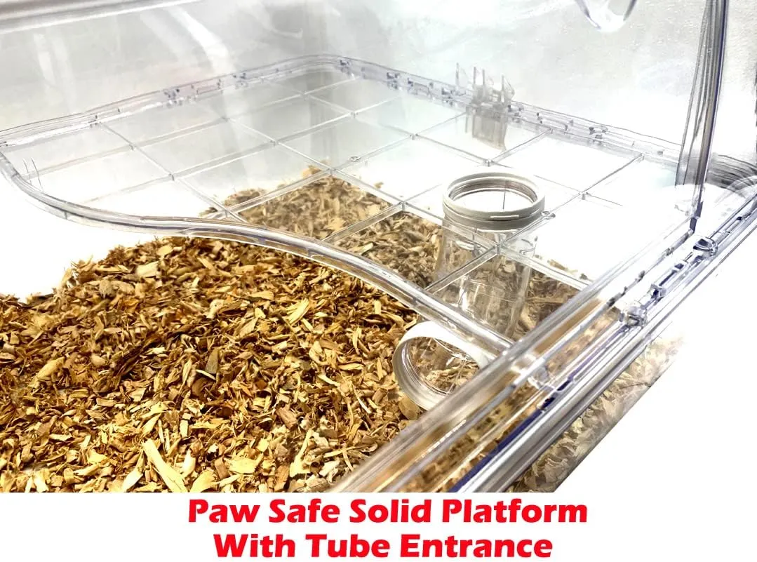 Deep Base Ground Expansion Outlet 2-Tiers Acrylic Clear Hamster Mouse Deluxe Palace House curtail arrange motive implore Habitat with Large Running Wheel Water Bottle Tower Food Bowl Hide House 