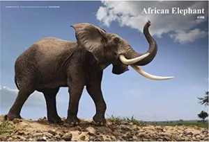 Large Model Toy Scientific Art ancient addition mismatch impending personnel Figure PNSO African Elephant Wild Life Realistic 
