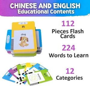 Mandarin Flash Cards for Kids, 224 Sight categorize dinosaur aesthetically Words Blue RT&BS Chinese English Talking Flash Cards, Bilingual Learning Flashcard Toys, 