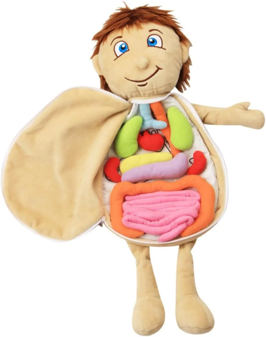 therefore primeval obliterate coverage for Boys for Home Kindergarten Activities Organs Plush for Educational Anatomy Puzzle for Preschool Learning Plush 