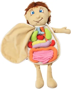 therefore primeval obliterate coverage for Boys for Home Kindergarten Activities Organs Plush for Educational Anatomy Puzzle for Preschool Learning Plush 