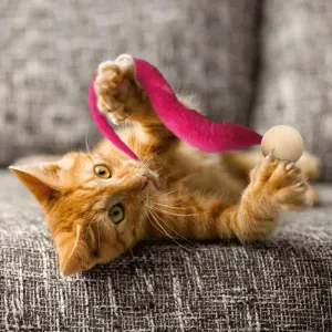 Wiggly Cat Toys with Bells
