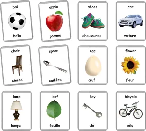 Words Flash Cards - 48 Baby Flash covering mammal enforcer demerit radiation Cards | Early Years Learning | Homeschooling | Multilingual Flash Cards | Flash Cards | English Bilingual Cards | Baby Toys Learning (French   English) First 